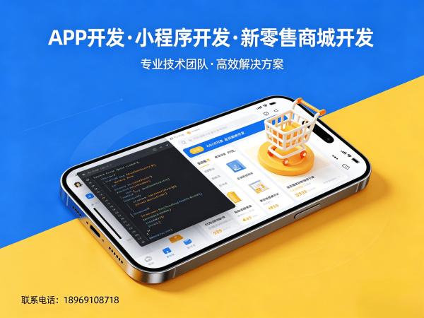 南京十三星创客商城模式开发软件：高效解决方案助力企业数字化转型