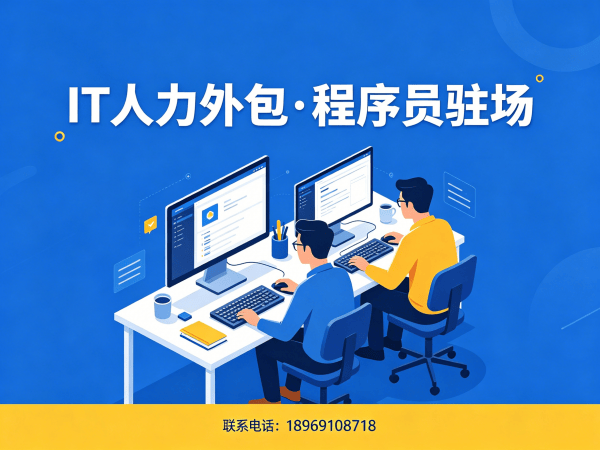 宁波IT人力外包解决方案：软件项目人力外包服务如何解决企业技术团队搭建痛点